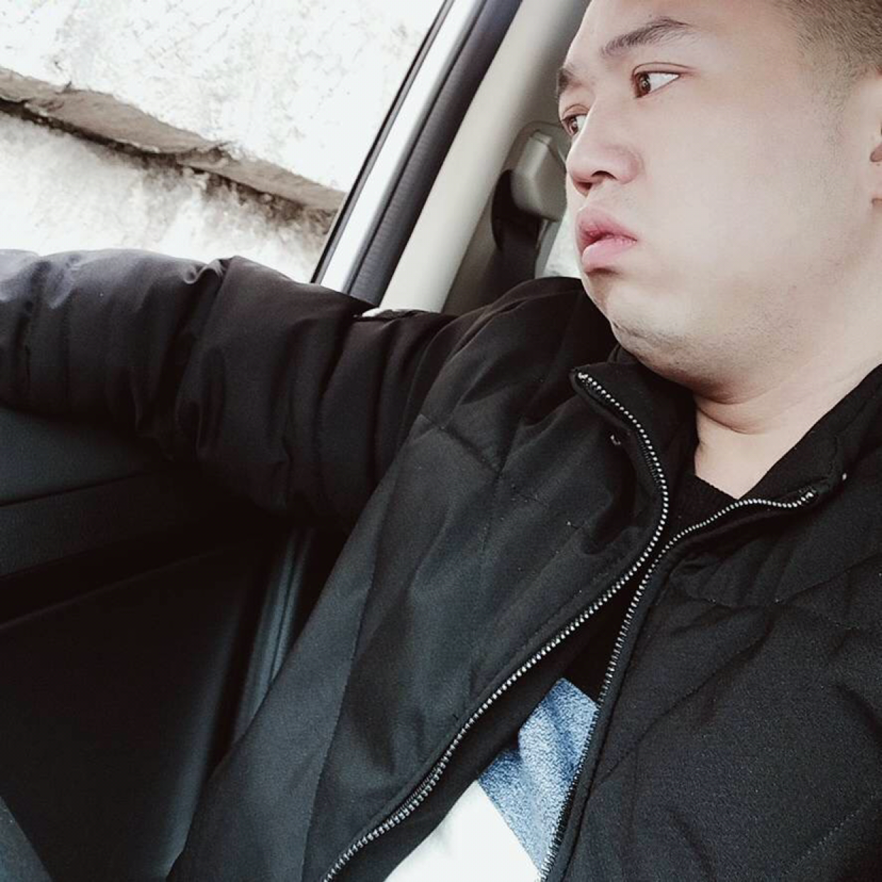 灰狼停止单身的照片