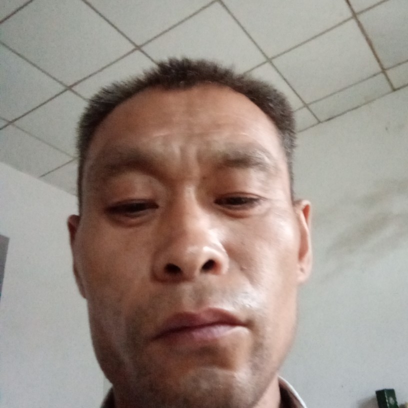 蓝莓孤独的照片