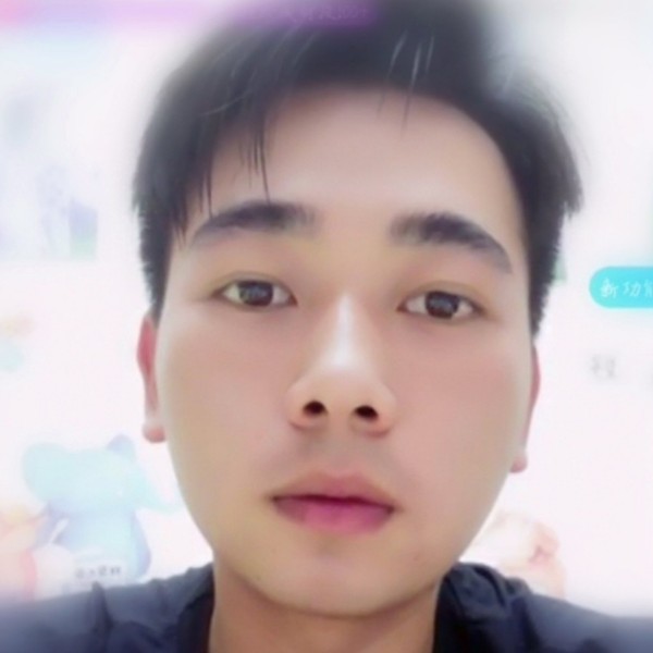 龙猫等于结实的照片