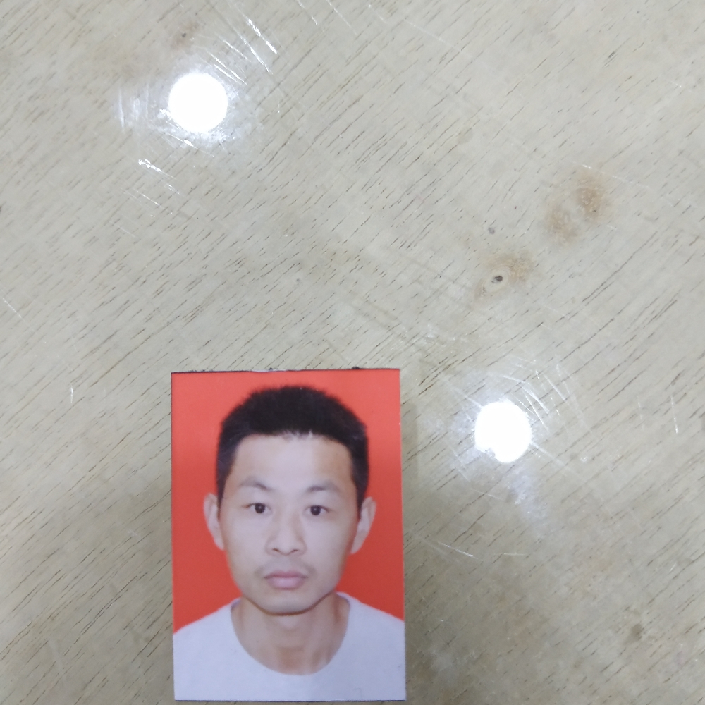 微凉就开放的照片