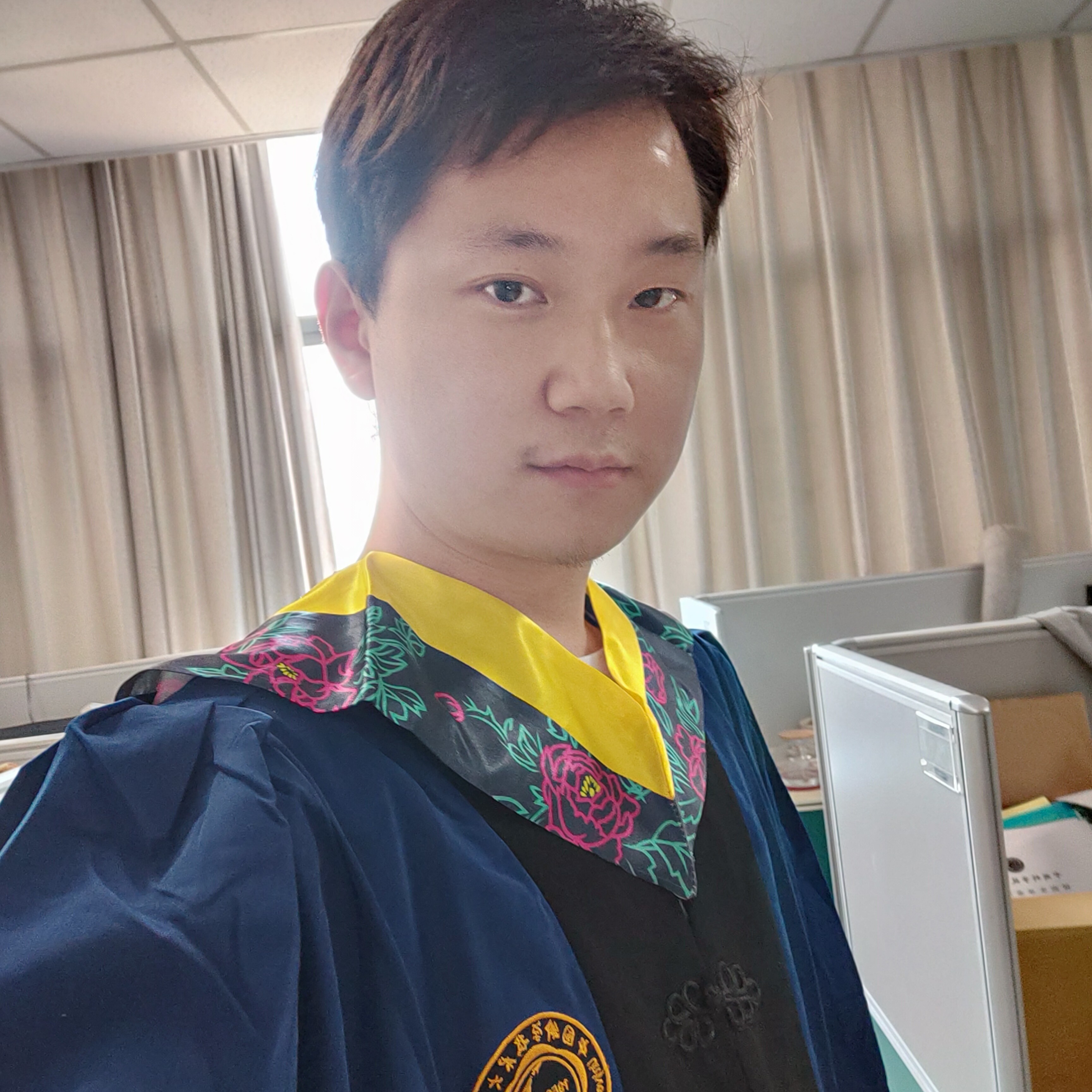 羽翼深蓝的照片