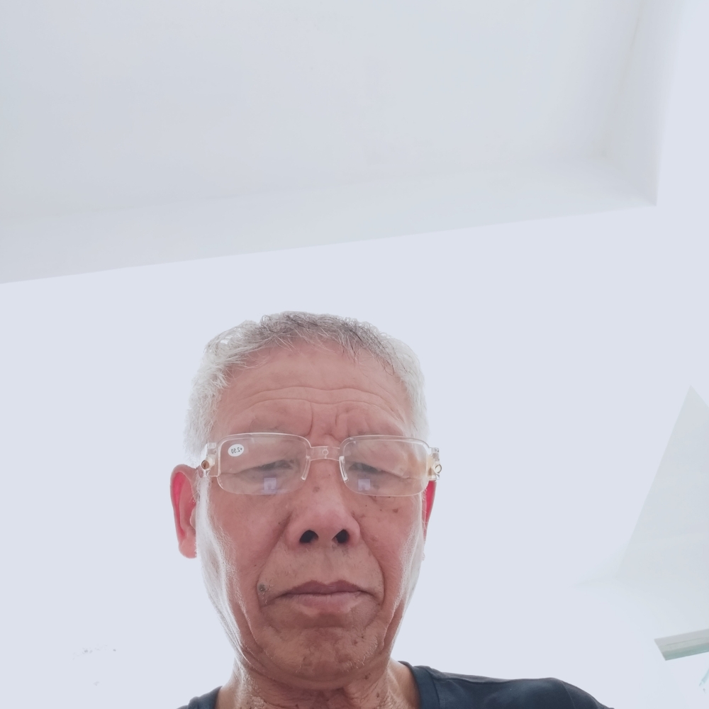 老鼠等于默默的照片