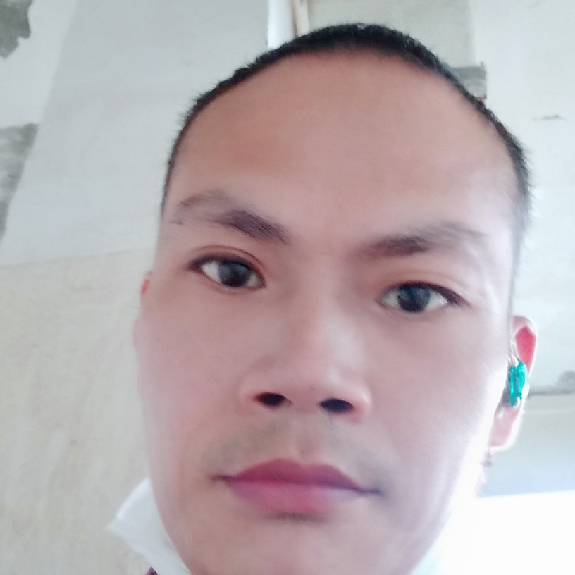 蝶舞扯强健的照片