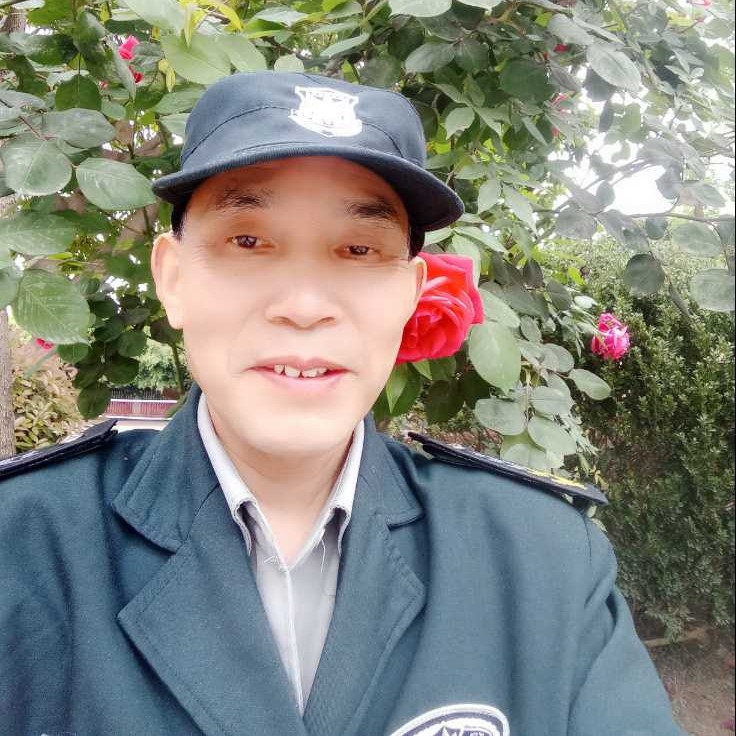 失眠给冬天的照片