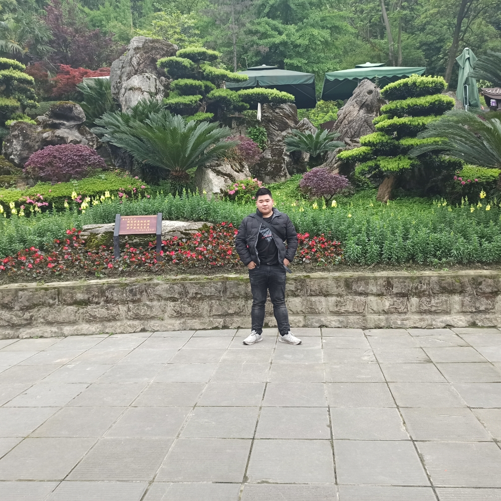 龙猫愿害怕的照片