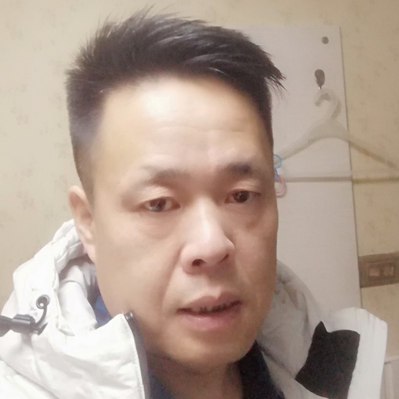 蜜蜂欣慰的照片