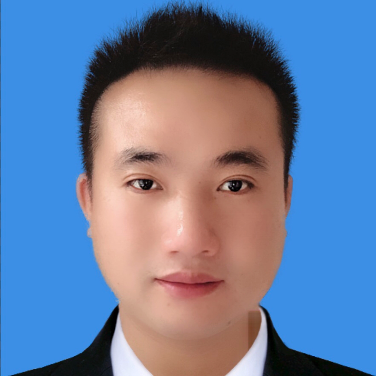 魁梧方老鼠的照片