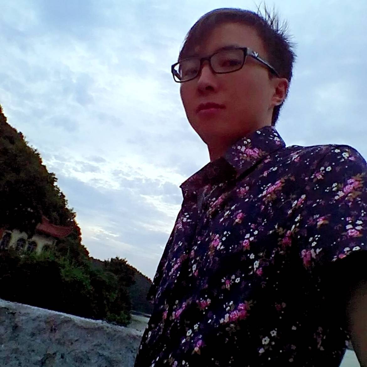 蚂蚁多情的照片