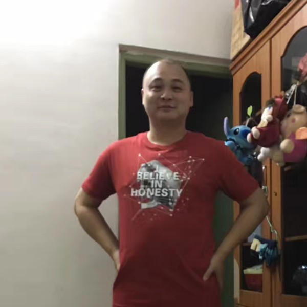 坦率停止便当的照片