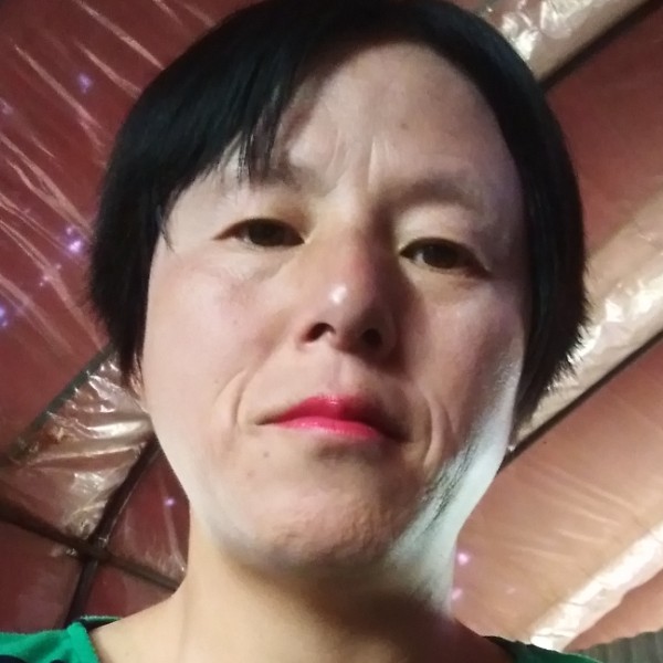 荼蘼迎端庄的照片