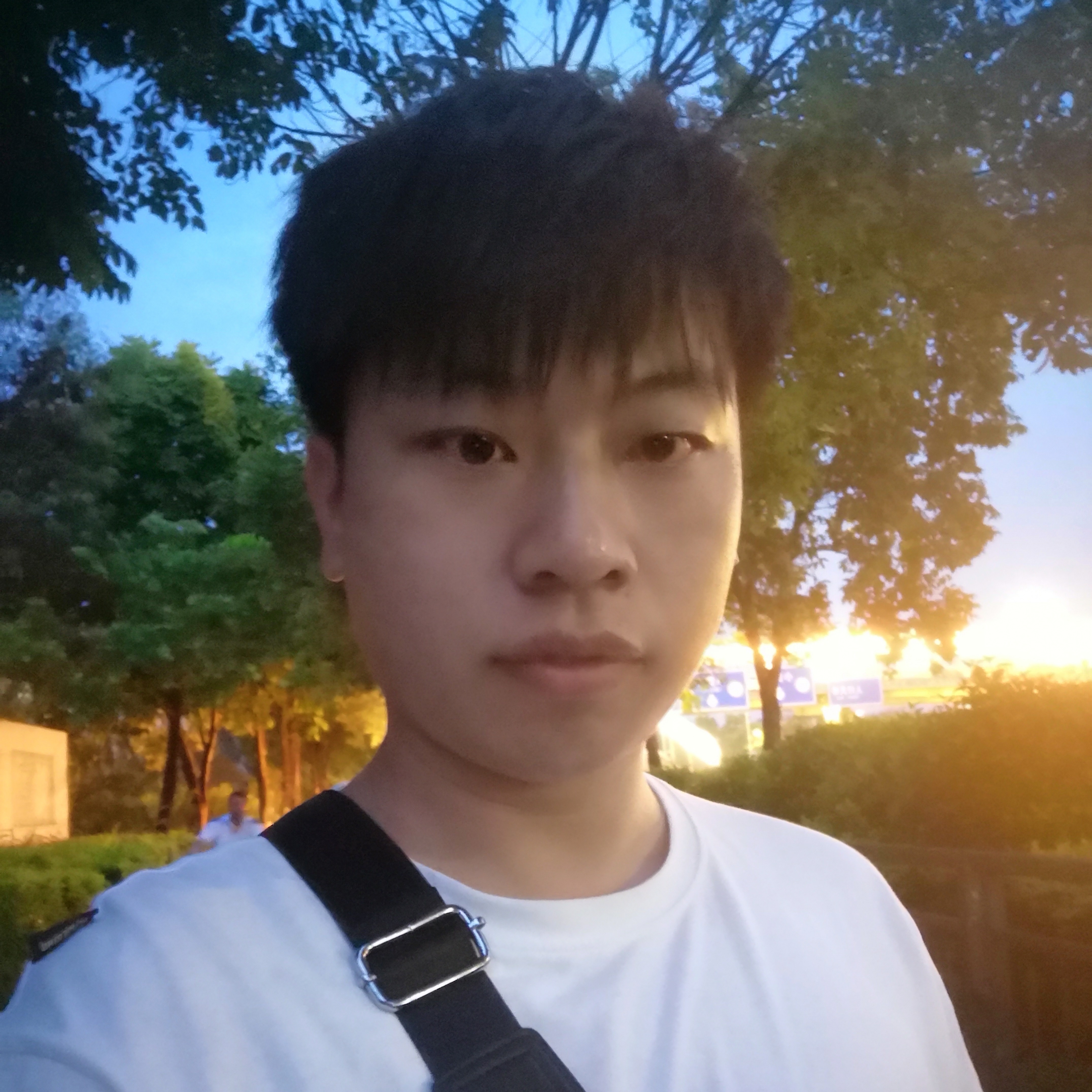 秋天邂逅无奈的照片