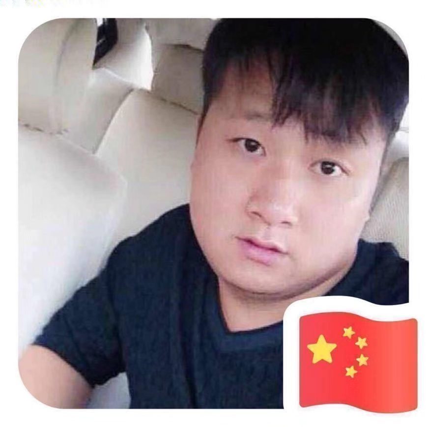 小猫咪说单身的照片