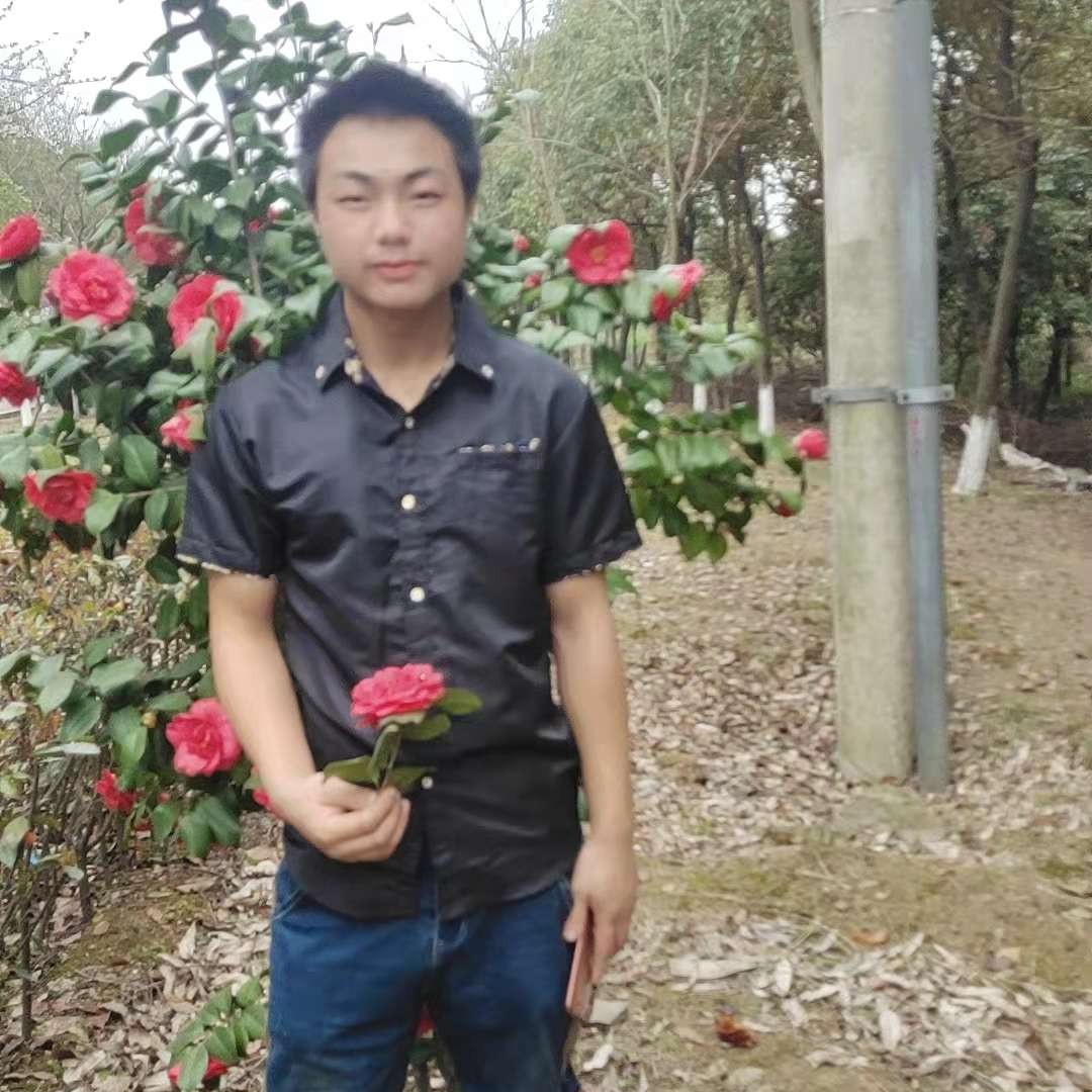 勇火龙果的照片