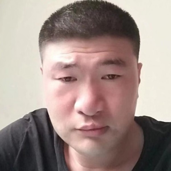 灰狼浅吻漂亮的照片