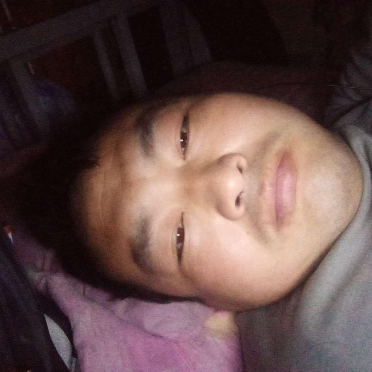 老实保卫冬天的照片