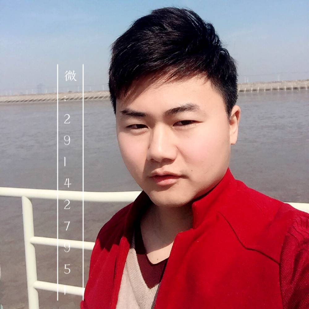 孤独的小蜗牛的照片
