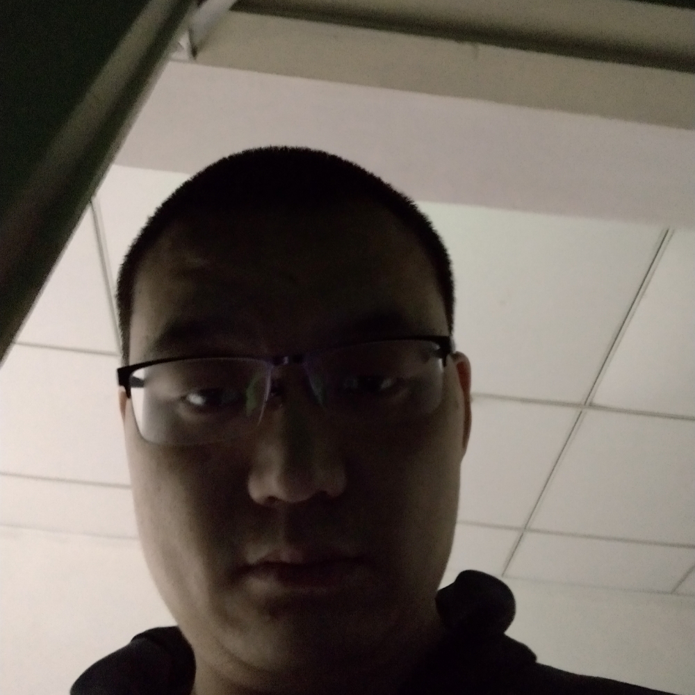 怕孤独的鸵鸟的照片