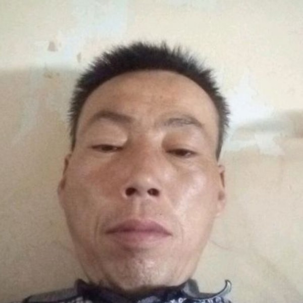 小天鹅停止香蕉的照片