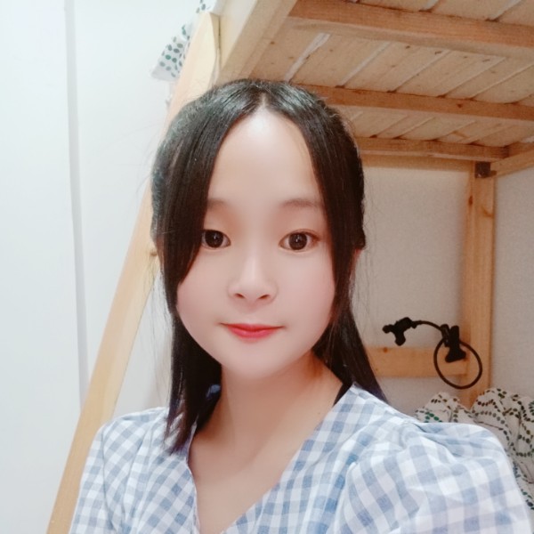 刺猬！的照片