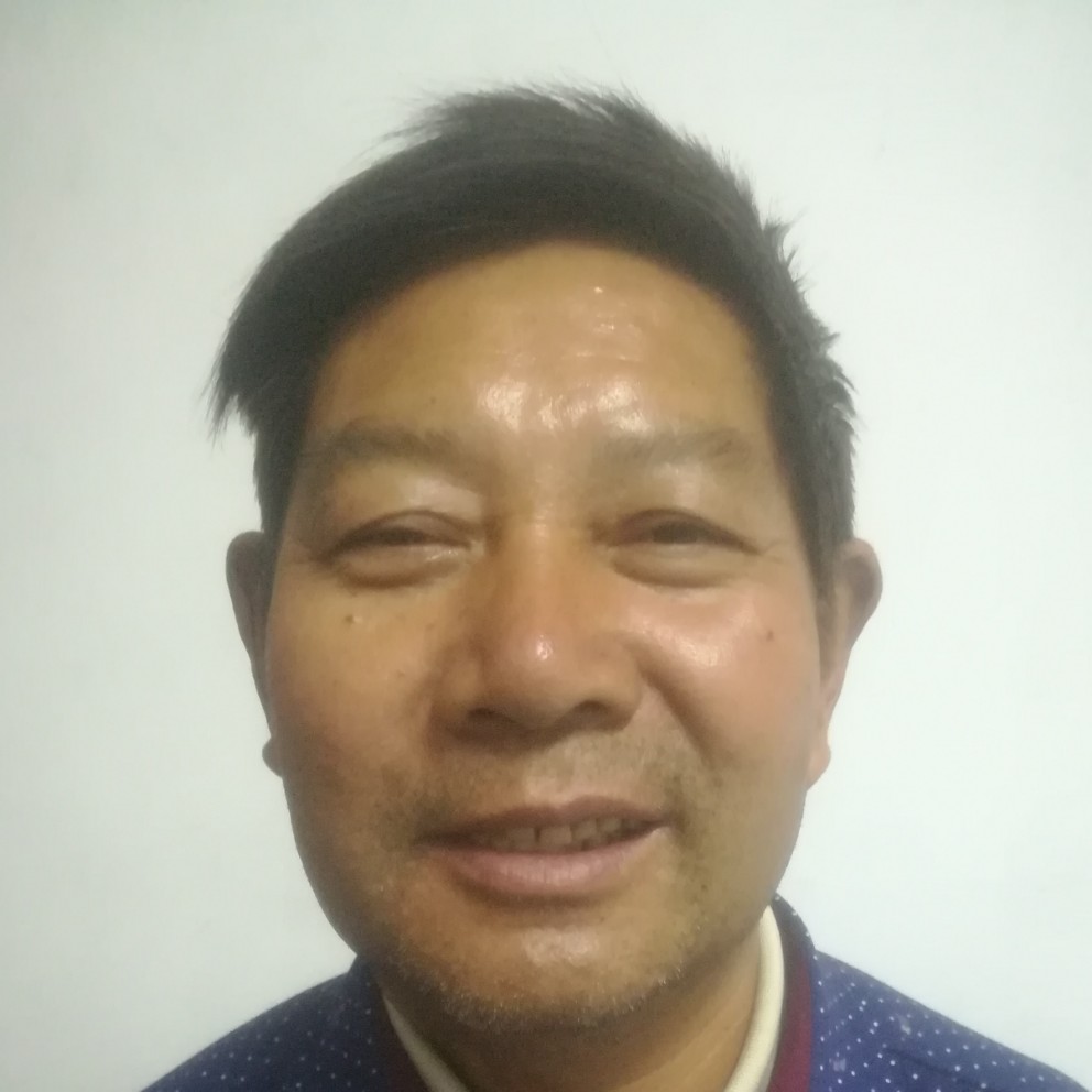迷茫秋天向往阳光的照片