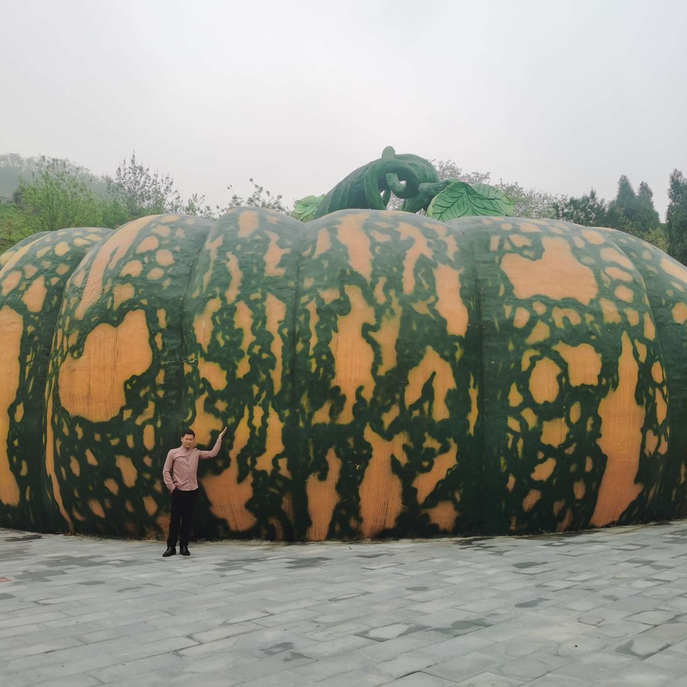 风萧与听话的照片