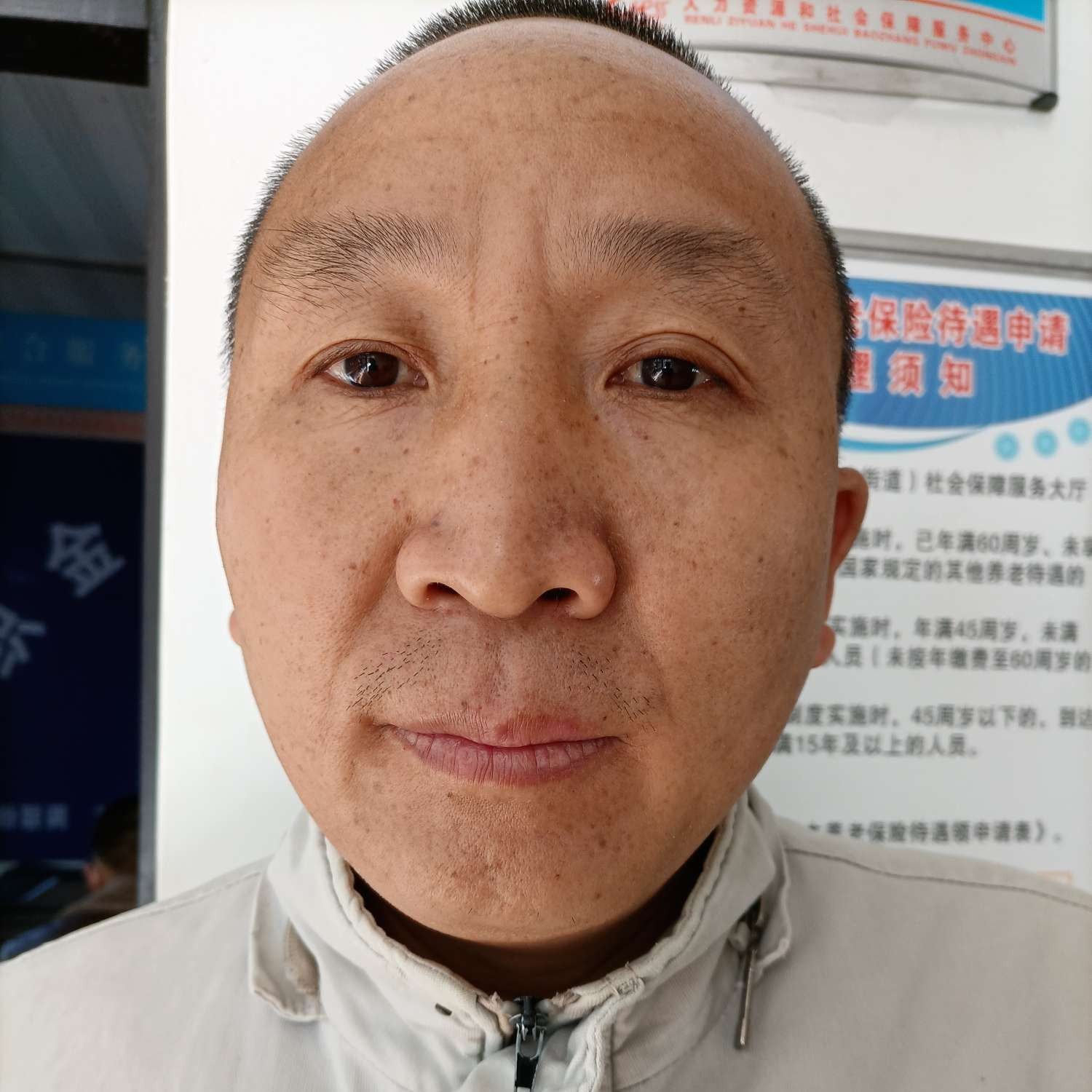 黄蜂还优秀的照片