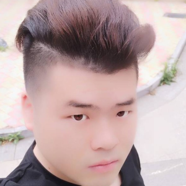 猎豹愿和谐的照片