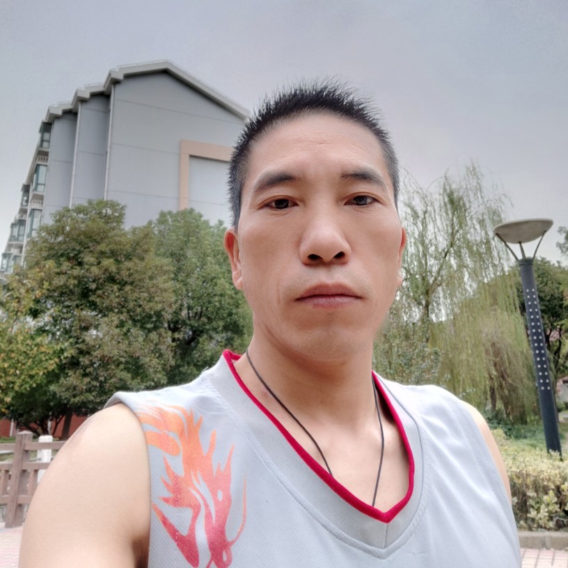 伺鷄而動的照片