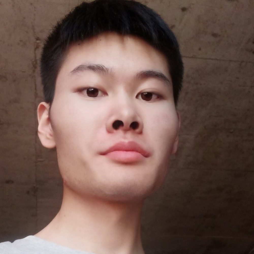俏皮凝眸刺猬的照片