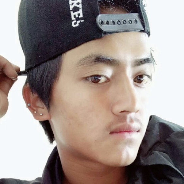 被毒蛇咬伤的斑马的照片