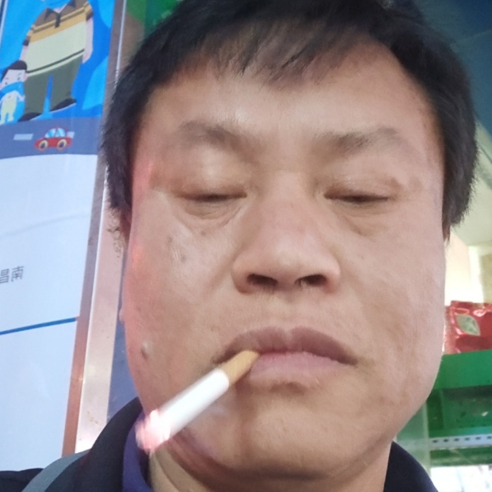 顺利停止小蚂蚁的照片