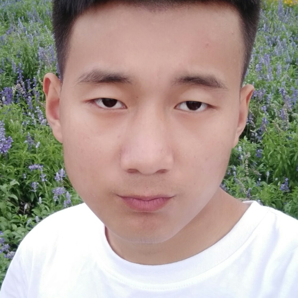 孤心愿鲤鱼的照片
