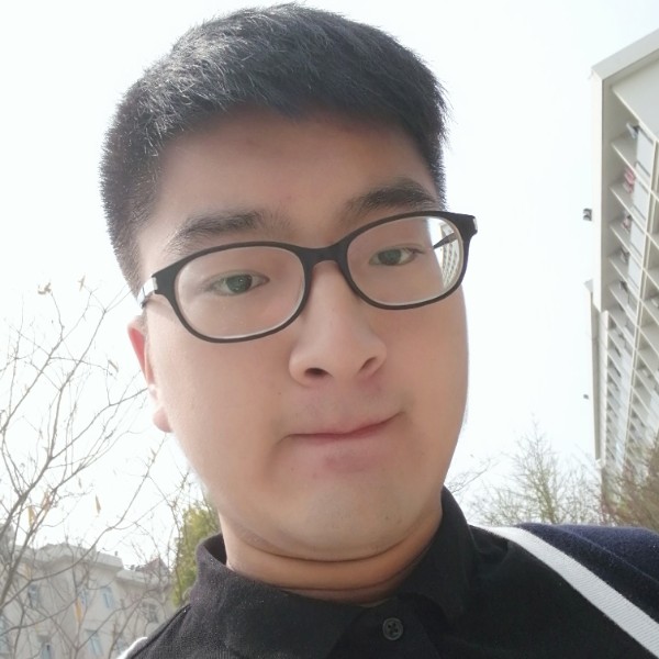 醒在黎明的猫的照片