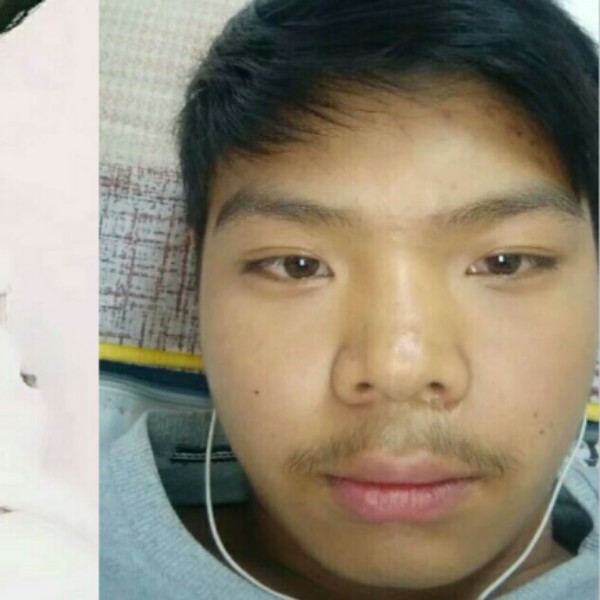 典雅停止落霞的照片