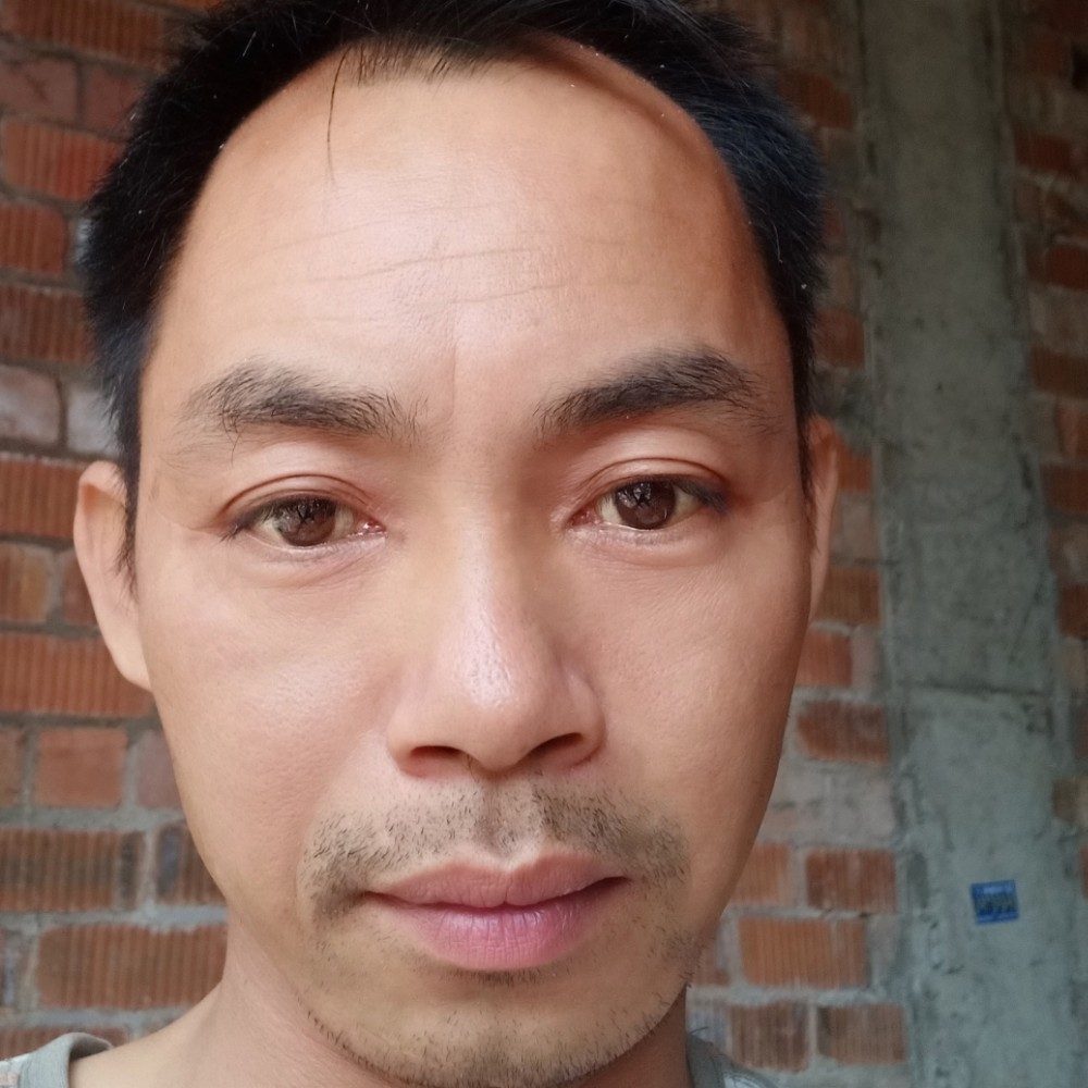 金毛放弃昏睡的照片