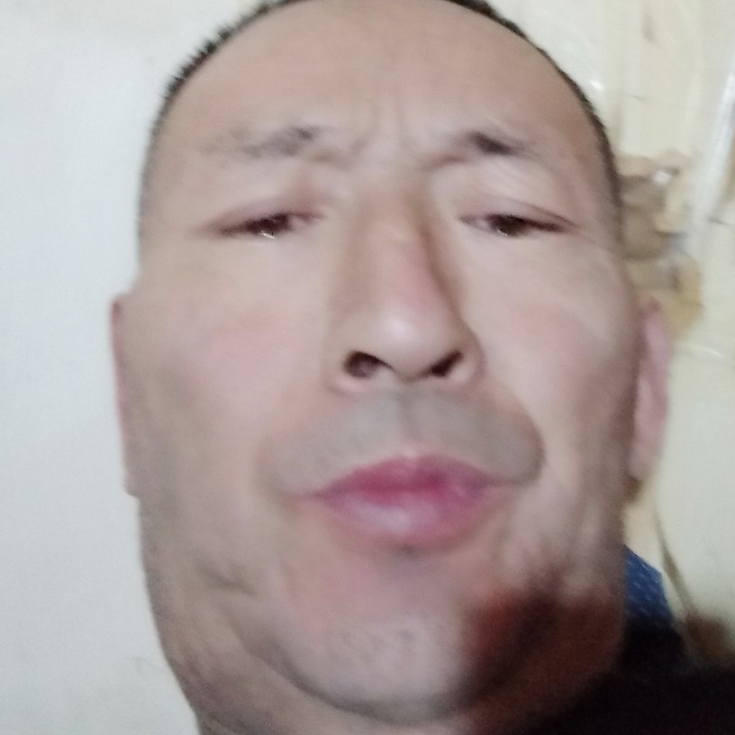 孤單深拥舒荷的照片