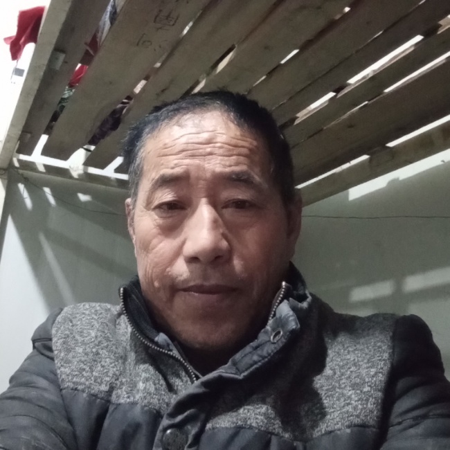 优雅那龙龙猫的照片