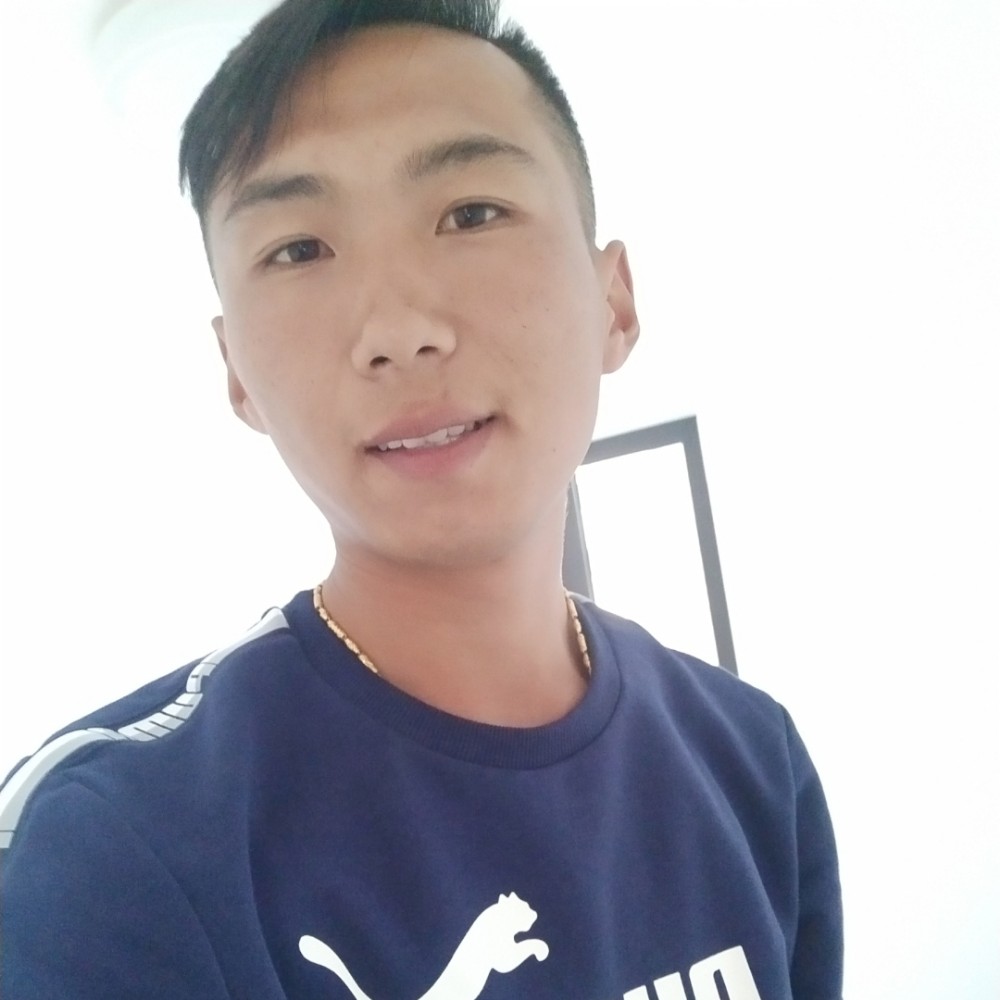 可爱仙人掌的照片