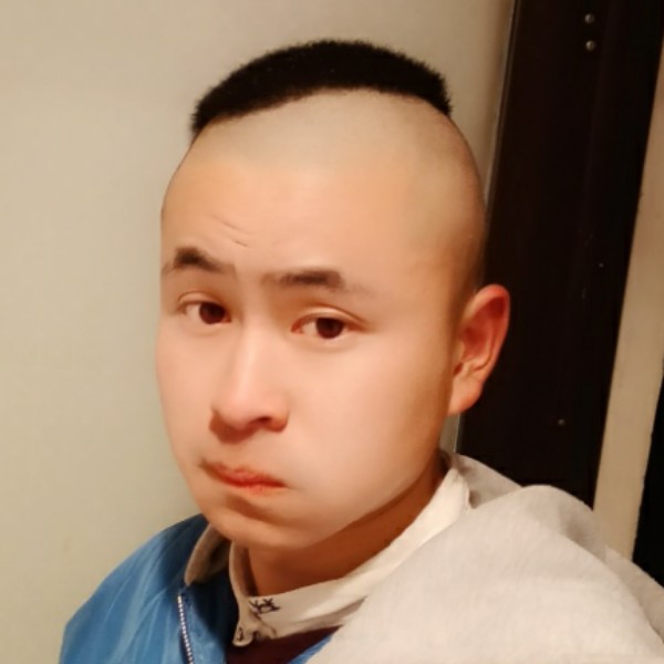 熊的照片