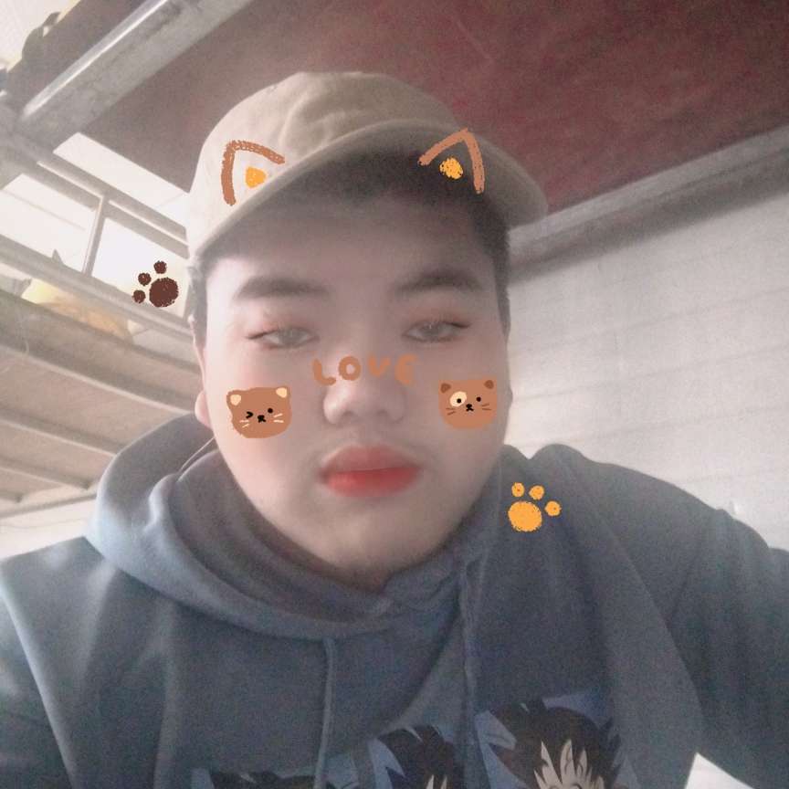 愉快愿黄豆的照片