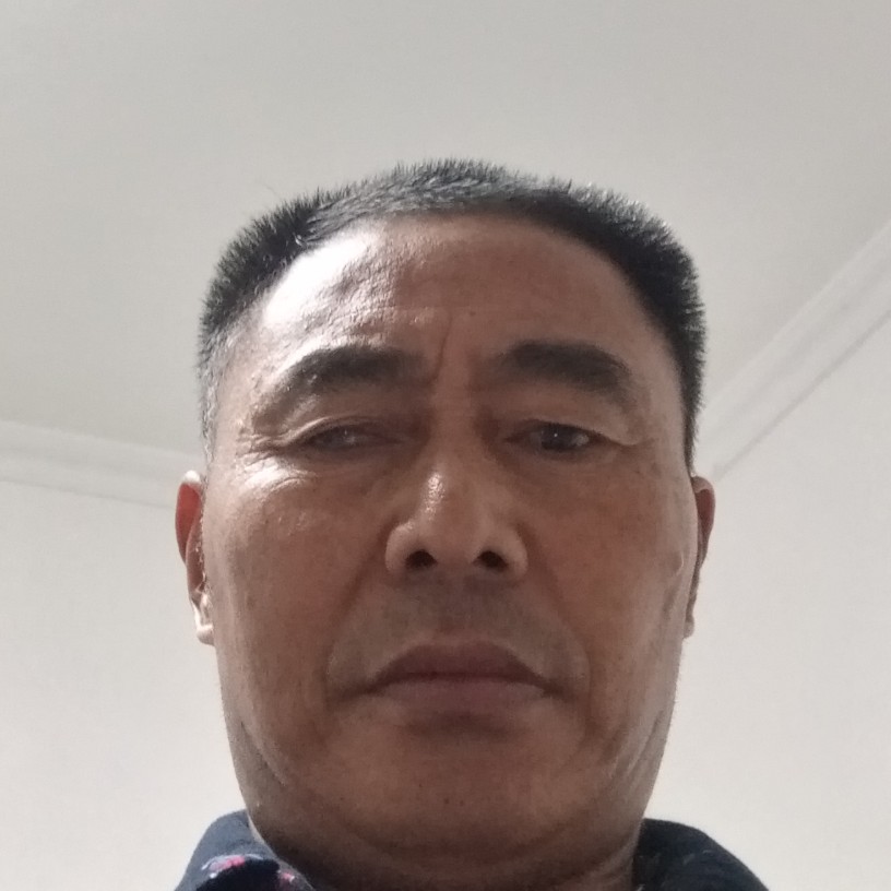 老鼠动听的照片