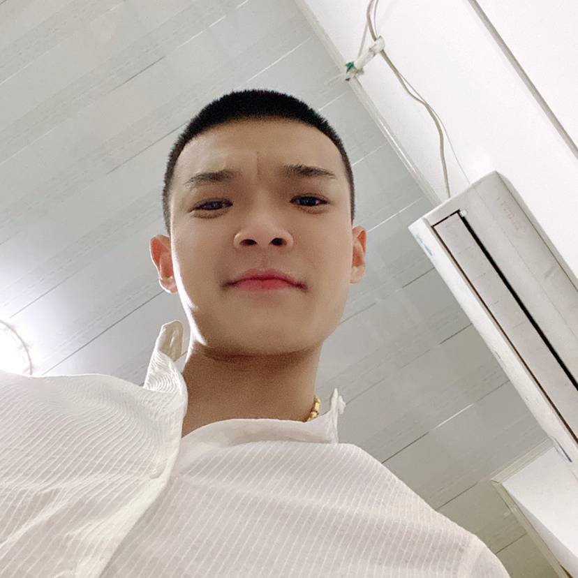 洋葱漫步幽默的照片