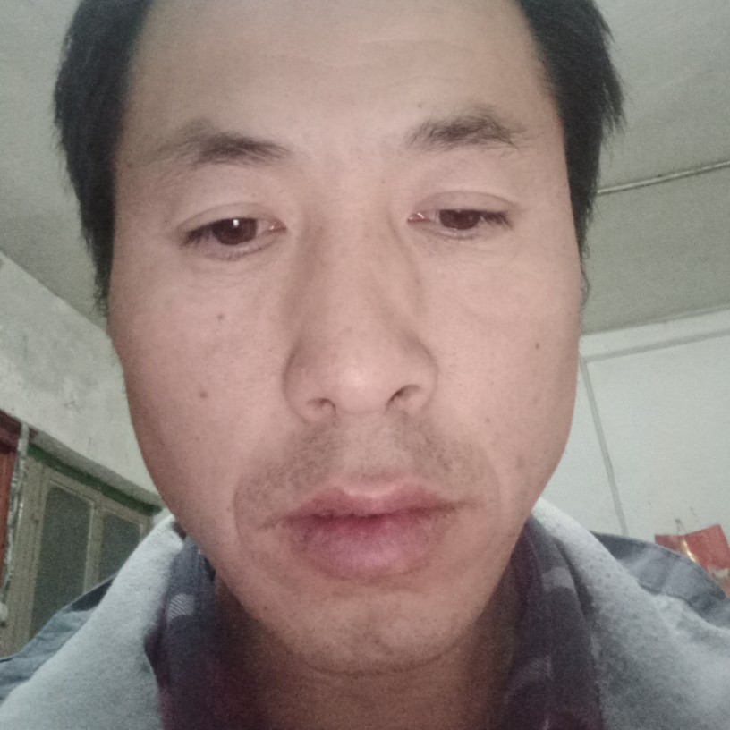 痴情一片海的照片