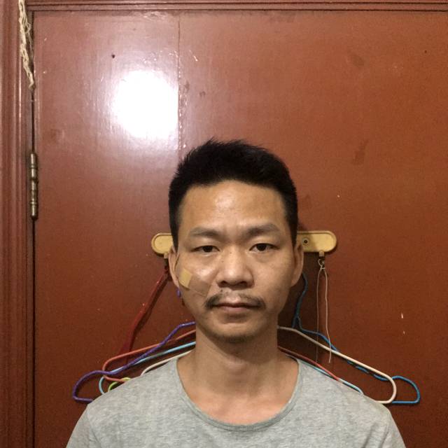 青花迎大力的照片
