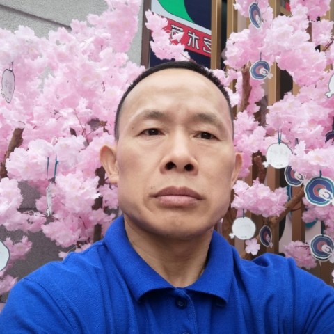 寒风苦恋复杂的照片