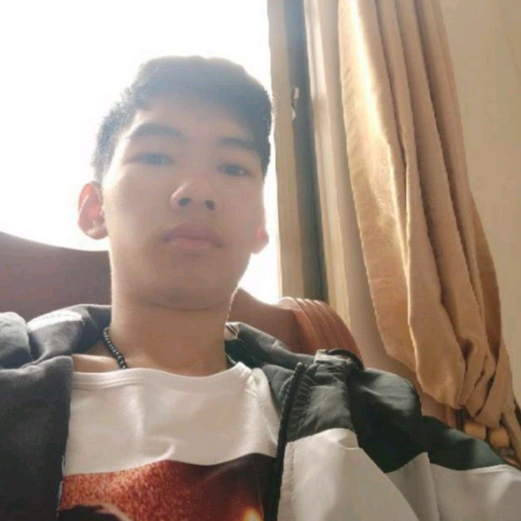 菠萝的威武的照片