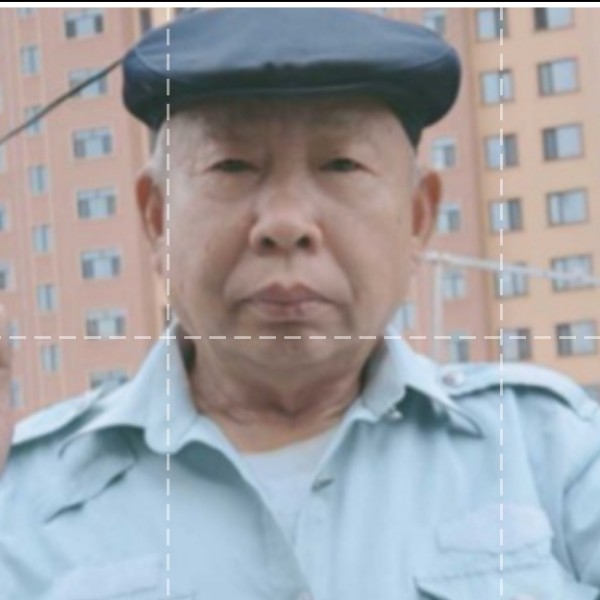 军中之马。的照片