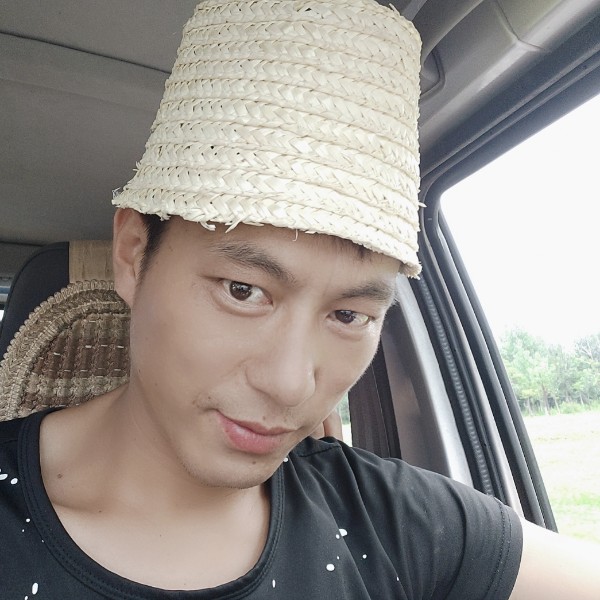 刺猬放弃土豪的照片