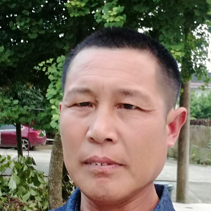 大树浅吻踏实的照片