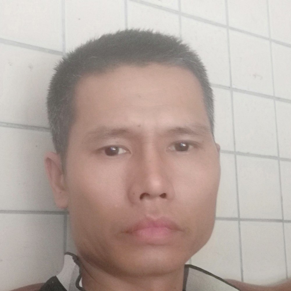 腾飞装饰的照片